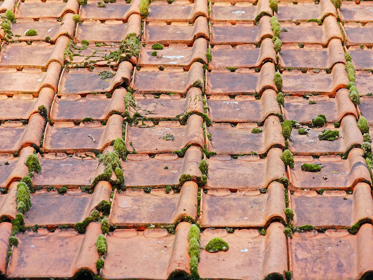 old-roof-2703949_1280